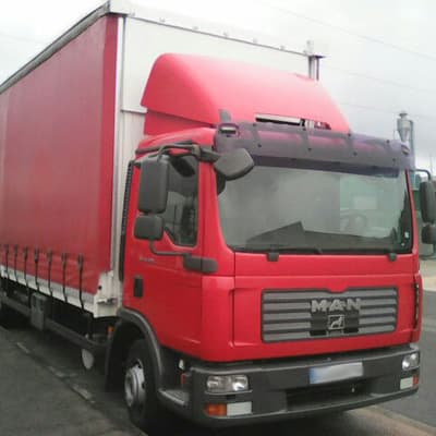 Vehículos para transporte de mercancías Daal